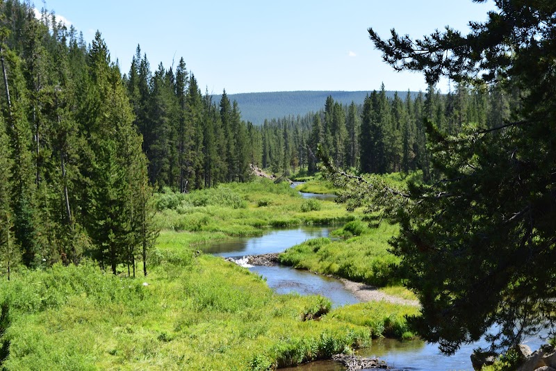 South Fork Madison River