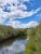 South Fork Madison River in Yellowstone National Park reflects blue sky and puffy clouds between dense green shrubs.