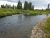 South Fork Madison River flows through grassy banks and riverine wetlands in Yellowstone National Park.