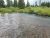 South Fork Madison River along a shallow, clear bend in Yellowstone National Park.
