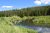 South Fork Madison River winds through grassy wetlands along a forested Yellowstone National Park landscape.