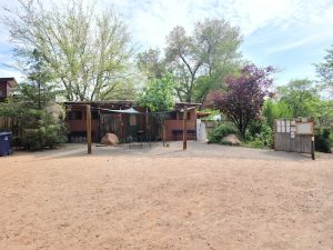 Arches National Park campground scene featuring a small adobe-style building under a wooden pergola, surrounding trees and sandy yard.