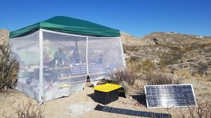 Campsite at Big Bend National Park with a mesh-tent shelter, picnic table, and solar panels.