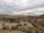 Desert campground scene in Big Bend National Park with tents set among sagebrush and rocky hills.