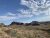 Desert landscape near Terlingua Ranch in Big Bend National Park with low shrubs and distant rock formations.