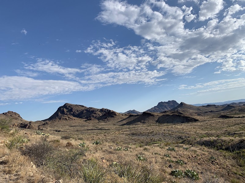 Desert landscape near Terlingua Ranch in Big Bend National Park with low shrubs and distant rock formations.