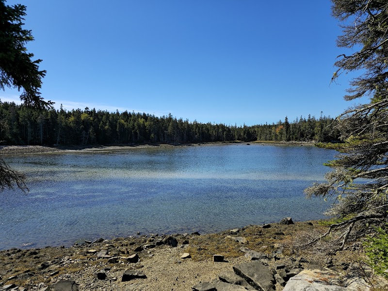 Clear blue lake with a rocky shoreline and evergreen trees, forested horizon under a bright sky in Acadia National Park.