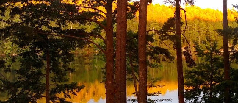 Dedham lakefront scene in Acadia National Park, pines frame a calm lake glowing with autumn sunset hues.
