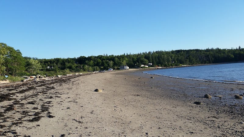 Sedgwick Beach along Acadia National Park's coastline, with sandy shore, rocks, and pine trees in the distance.