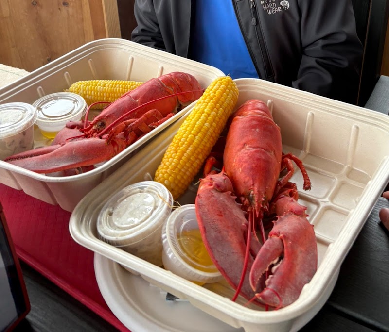 Two red lobsters with a bright corn on the cob and small dipping containers in white takeout trays at Acadia National Park.