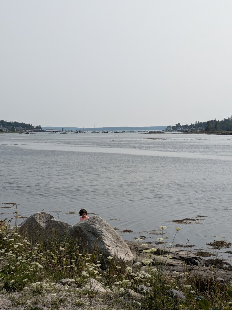 Rocky shoreline in Acadia National Park with a child peeking from behind gray boulders, calm bay and distant boats.