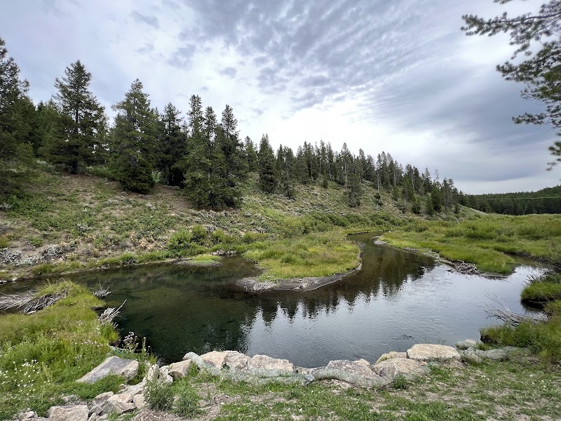 Meandering river with grassy banks and rocky edge, pine trees on a hillside under a cloudy sky in Yellowstone National Park.