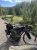 Bikepacking setup on the Yellowstone Shortline Trail through a pine forest in Yellowstone National Park.