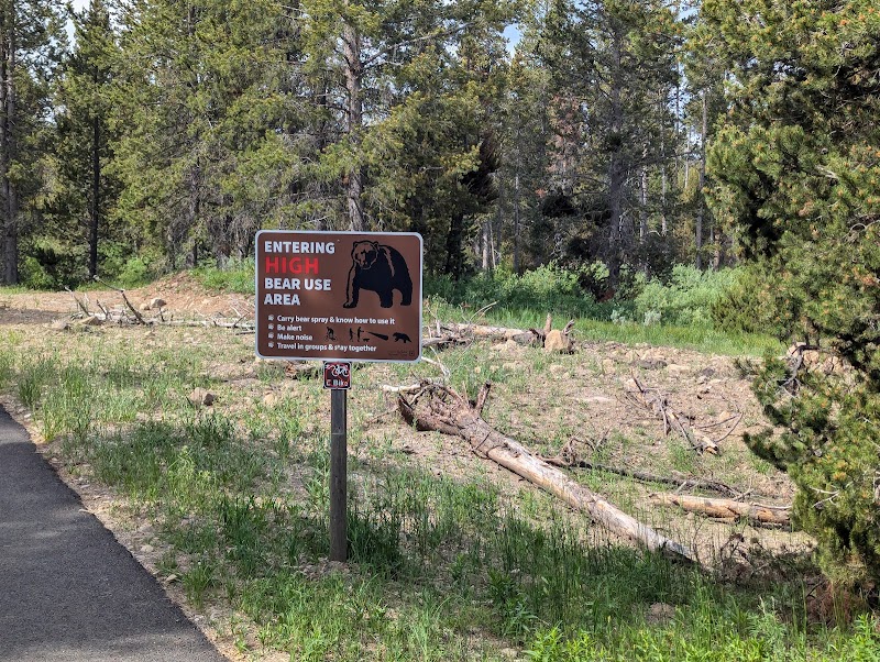 Yellowstone National Park: a trail sign reading Entering High Bear Use Area with a bear silhouette, dirt clearing, and pine trees