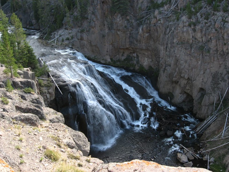 Gibbon River waterfall cascades over rocky canyon walls in Yellowstone National Park, with pine trees along a rocky overlook.