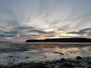 Coastal shoreline at Little Deer Isle, Acadia National Park, with a calm tidal inlet and sunset glow.
