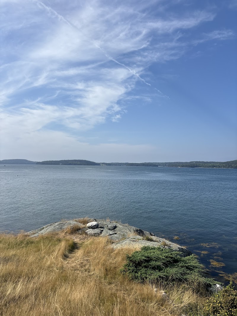 Little Deer Isle coast at Acadia National Park with rocky promontory, golden coastal grass, and calm blue water under a clear sky.