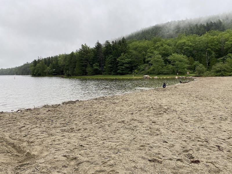 Echo Lake Beach in Acadia National Park shows a sandy shore, calm lake, and dense green forest.