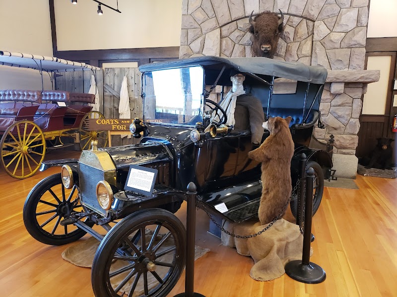 Inside a museum in Yellowstone National Park, a glossy black vintage car with a driver figure, rope barriers, a standing bear sculpture, and a stone fireplace in the background.