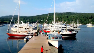 Marina scene at Acadia National Park with a dock, sailboats and motorboats moored, calm water and tree-covered shoreline.