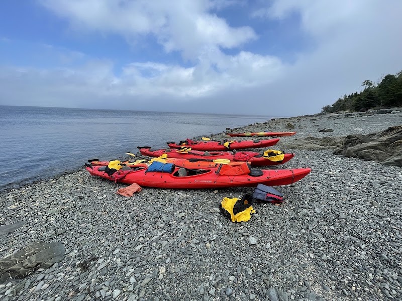 Red kayaks with yellow life jackets lined up on a rocky Acadia National Park shoreline, calm blue inlet and cloudy sky.