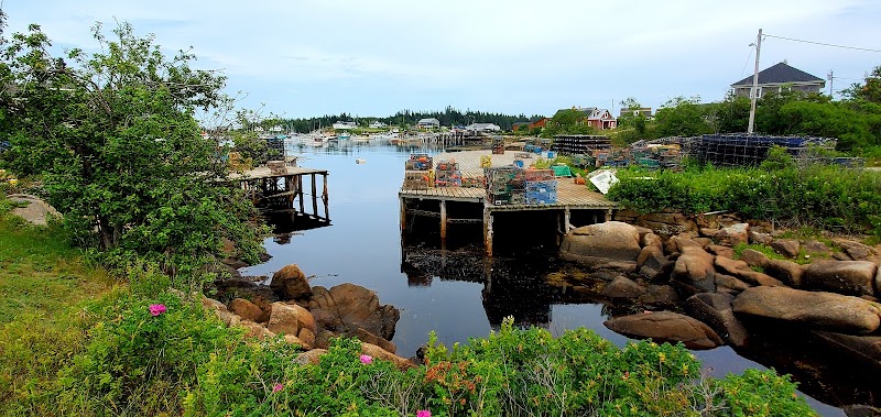 Corea Harbor along the rocky shore of Acadia National Park, with weathered docks and calm water.