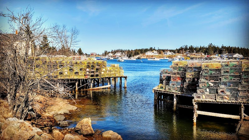 Corea harbor lobster traps line the shoreline at Acadia National Park, with rocky foreground and calm blue water.