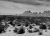 Desert scrub and low bushes spread across a gravel plain as jagged rock outcrops rise on the horizon in Arches National Park.