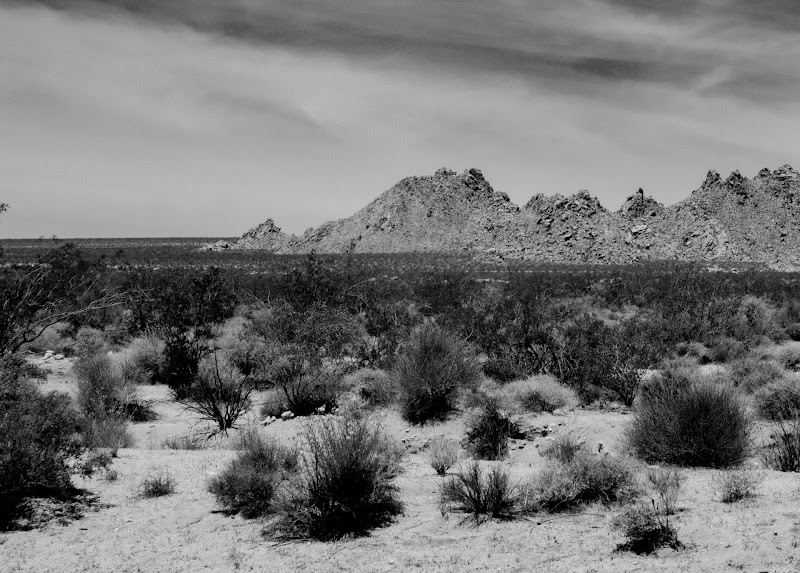 Desert scrub and low bushes spread across a gravel plain as jagged rock outcrops rise on the horizon in Arches National Park.