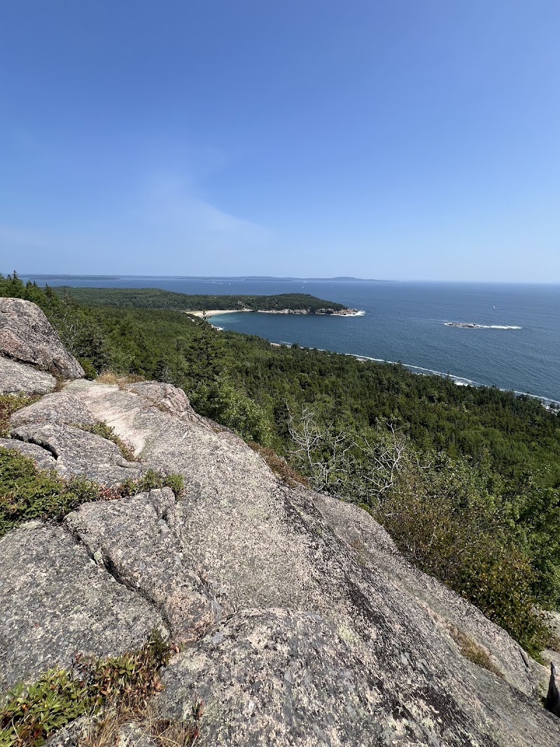 Coastal rocky overlook above a forested slope on Acadia's shoreline, with blue Atlantic and clear sky.
