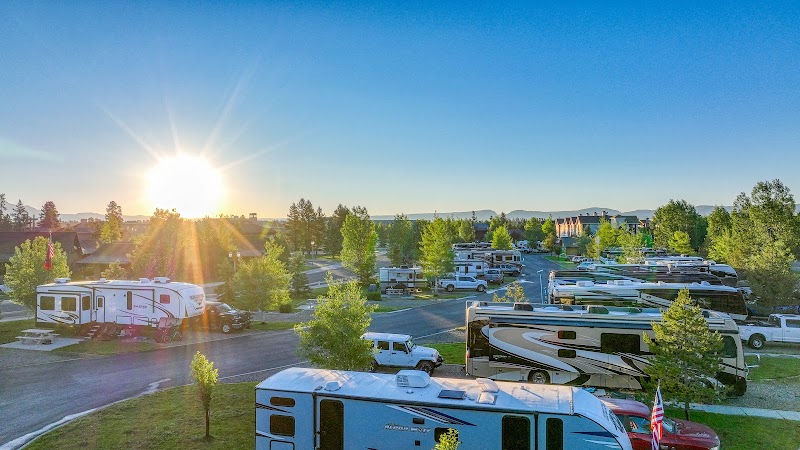 Sunlit RV park in Yellowstone National Park with rows of motorhomes and trailers among trees at sunset.