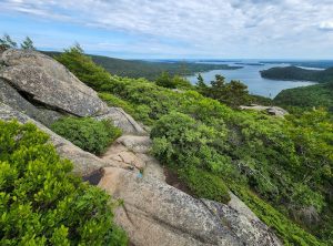 Acadia Mountain overlook along rugged granite ledges with green pines and a blue Atlantic vista in Acadia National Park.