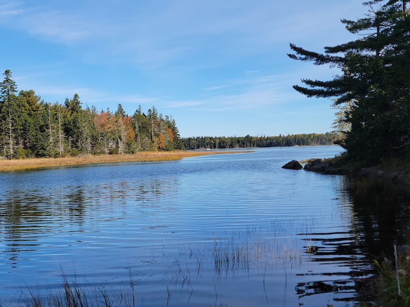 Calm lake with forested shoreline and a clear blue sky in Acadia National Park, autumn colors along the edge.