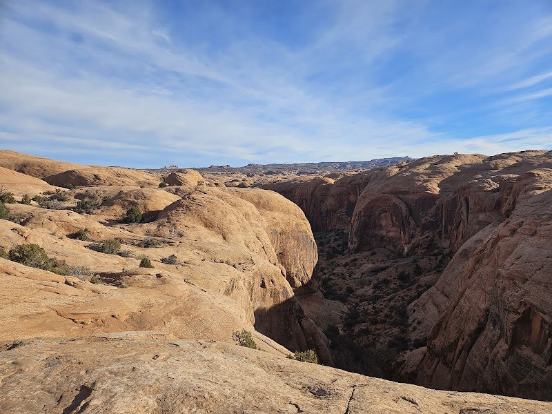 Expansive orange sandstone formations frame a deep canyon in Arches National Park under a bright blue sky.
