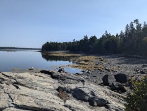 Indian Point Blagden Preserve on Acadia National Park’s coast, featuring rocky shoreline and calm inlet waters.