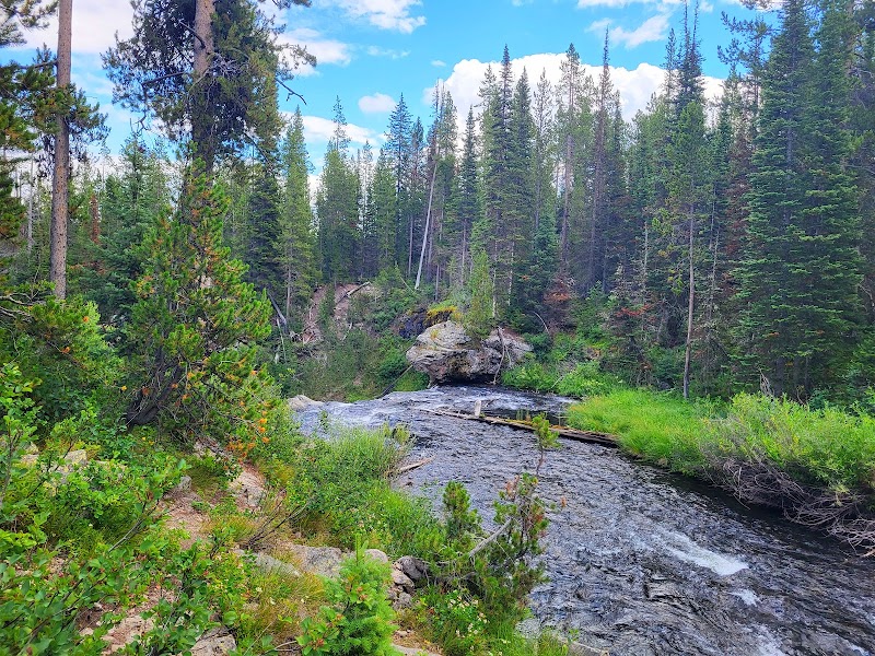 Moose Falls area in Yellowstone National Park features a shallow, rocky stream winding through a pine forest under a bright blue sky.