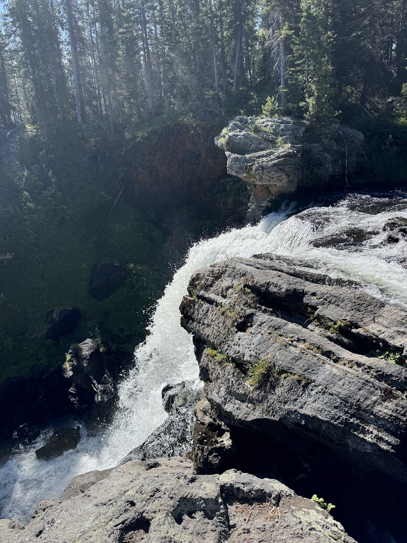 Water rushes over rugged limestone ledges into a rocky pool, surrounded by evergreen trees in Yellowstone National Park.