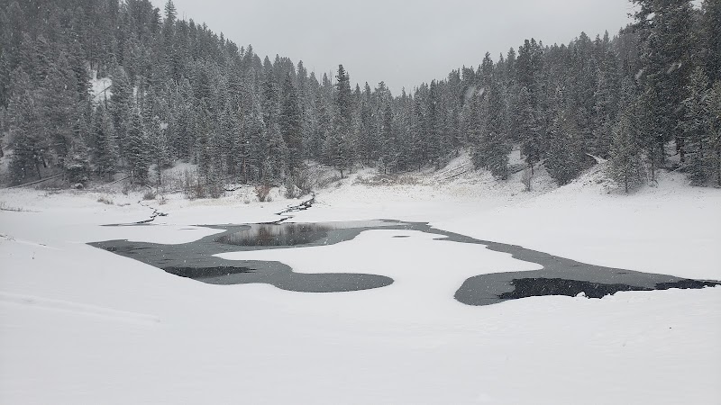 Snow-covered scene at Whits Lake Trailhead in Yellowstone National Park, featuring a partly frozen lake with dark water and surrounding pines.