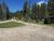 Whits Lake Trailhead in Yellowstone National Park with riders on a dirt path through pine forest.
