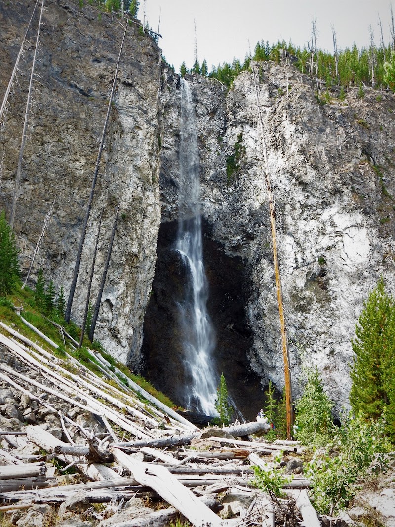 Tall waterfall pours between gray cliff walls with fallen logs and sparse pines at Fairy Falls, Yellowstone National Park.
