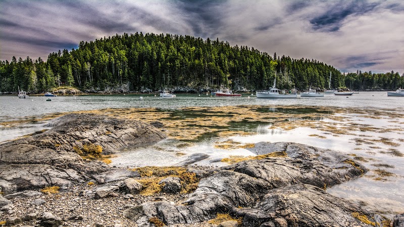 Seal Cove shoreline at Acadia National Park shows rugged rocks, calm harbor, and forested islands with several boats anchored nearby.