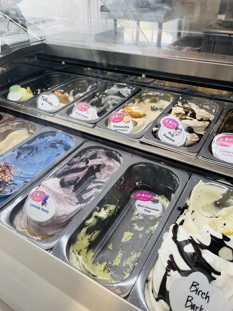 Ice cream shop display in Acadia National Park with colorful gelato flavors behind glass, seen through a curved freezer case.