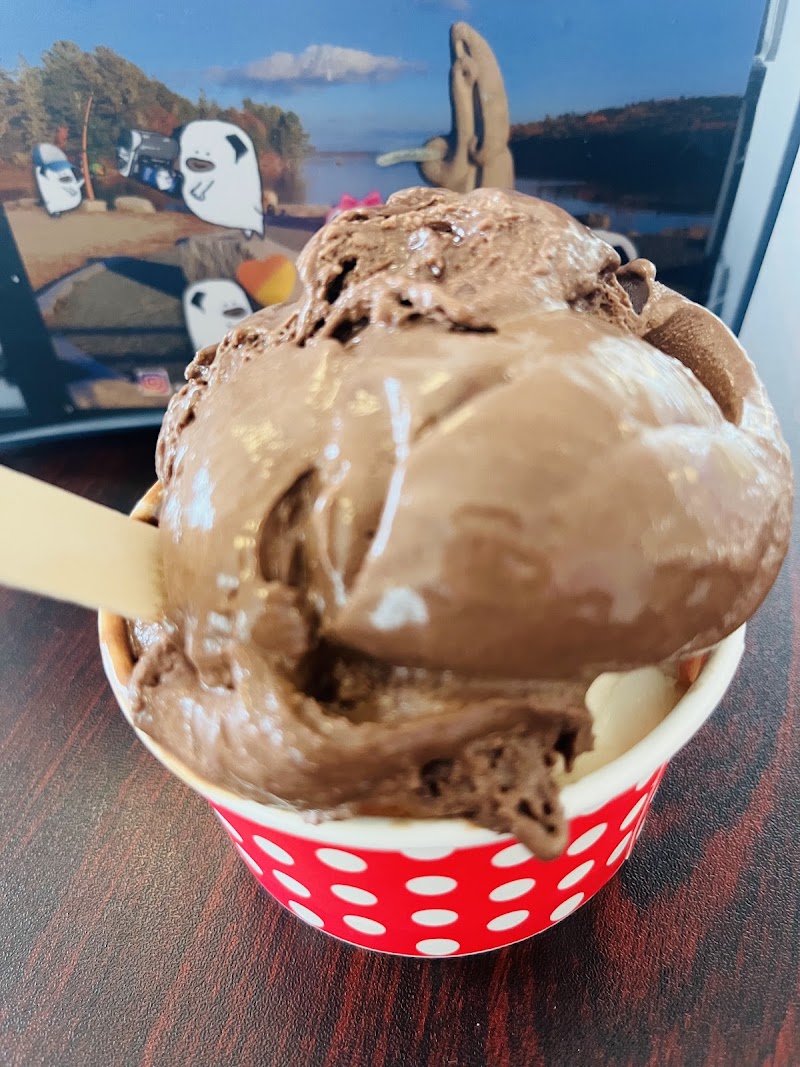 Chocolate ice cream in a red polka-dot cup at a shop in Acadia National Park.