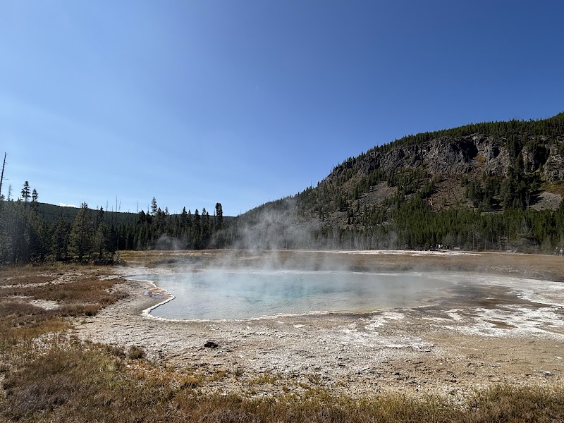 Turquoise geothermal pool steaming softly, mineral-crusted rim, pine forest and hills in Yellowstone National Park.