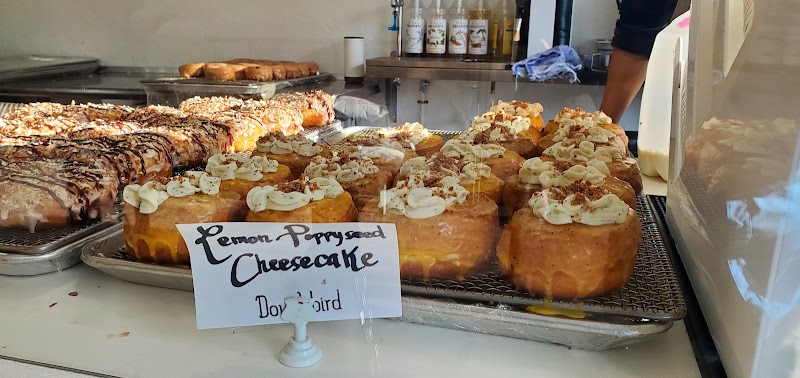 Cheesecake pastries on display at a cafe counter inside Arches National Park, with assorted drizzled toppings and cream decorations.