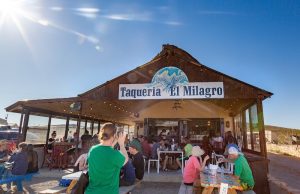 Open-air taqueria in Big Bend National Park, a rustic roadside eatery bustling with visitors under sunny skies.