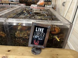 Live lobsters in glass tanks with a chalkboard price sign at a seafood counter inside a market near Acadia National Park.