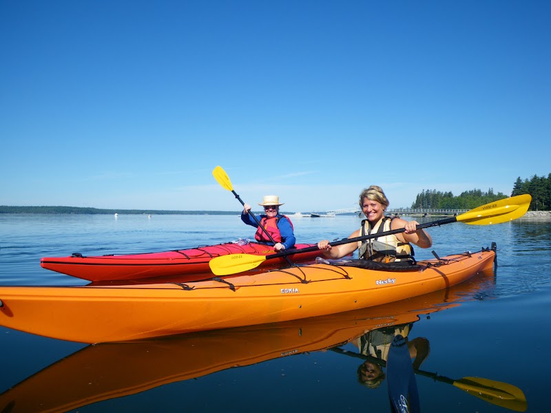 Two kayakers in bright orange boats glide across calm blue water off the Castine coastline in Acadia National Park.