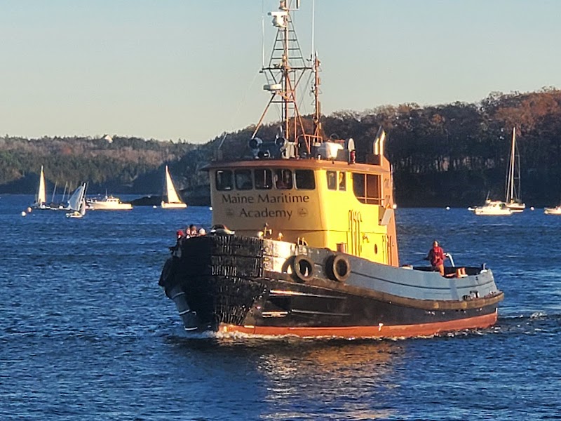 Castine Harbor in Acadia National Park features a yellow tugboat with sailboats visible in the background.