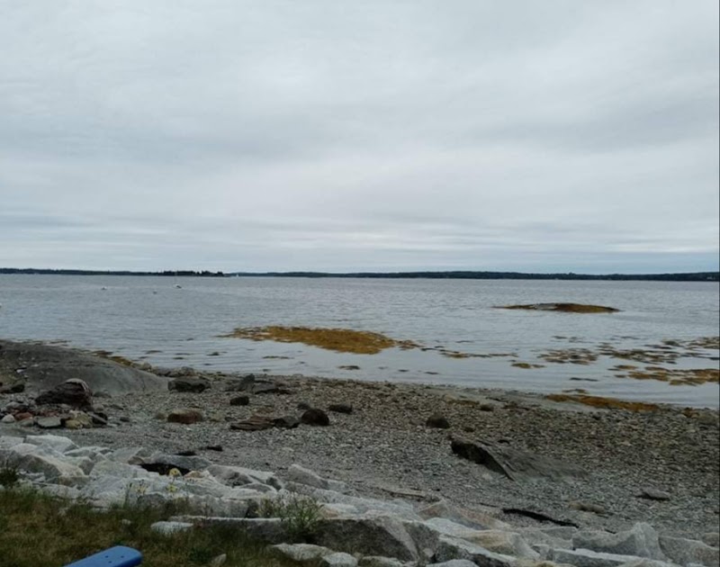 Brooklin shoreline along Acadia National Park presents a rocky coastal scene under a gray overcast sky.